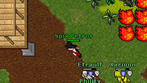 Spix Petros on screen