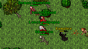 Nicolo Druid on screen