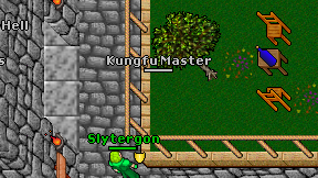 Kungfu Master on screen