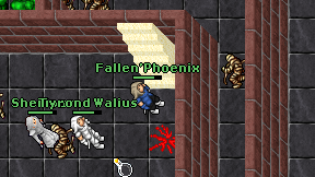 Fallen'Phoenix on screen