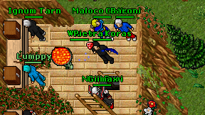 Nevi Ervi on screen