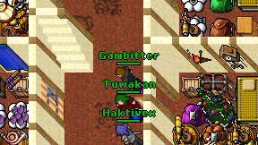 Gambitter on screen