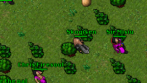 Skogisen on screen