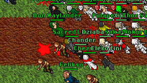 Sacred Lion on screen