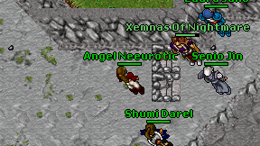 Angel Neeurotic on screen