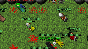 Druit'mix on screen