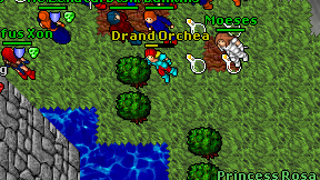 Drand Orchea on screen