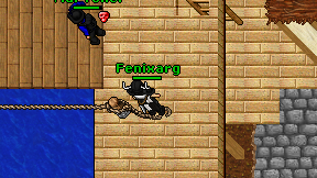 Fenixarg on screen