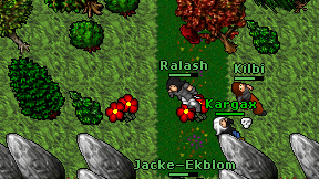 Ralash on screen