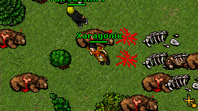 Xaragonix on screen