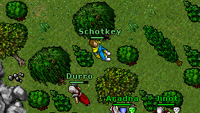 Schotkey on screen