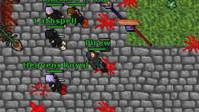 Pirew on screen