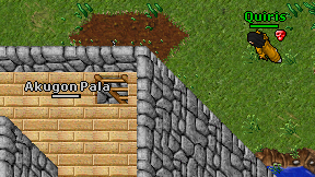 Akugon Pala on screen