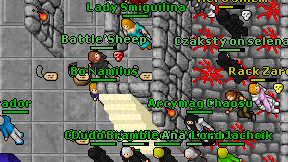 Battle'Sheep on screen