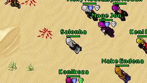 Salonha on screen