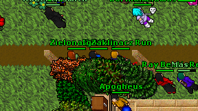 Igii Mag on screen