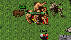 Homenbomba on screen