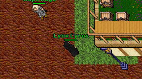 Lynx Cyrus on screen