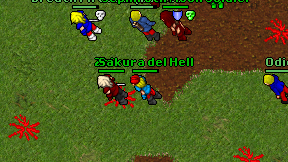 Sakura del Hell on screen
