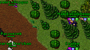 Azani Celizagus on screen