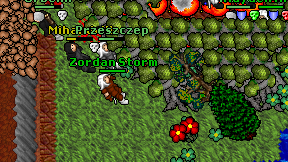 Zordan Storm on screen