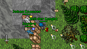 Xell der Knight on screen