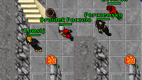 Komsij on screen