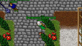 Demonical Druid on screen