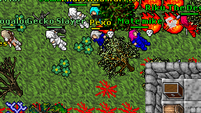 Pexo on screen
