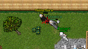 Millo Mire on screen