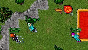 Nanque on screen