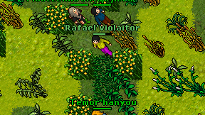 Rafael'violaitor on screen