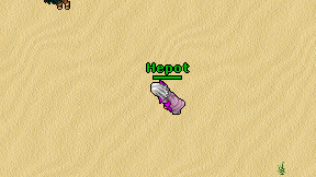 Hepot on screen