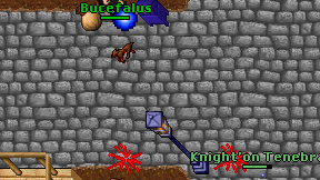 Bucefalus on screen
