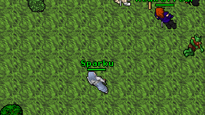 Sparku on screen