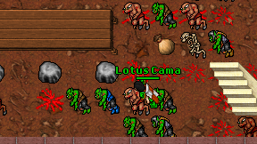 Lotus Cama on screen