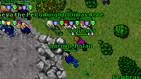 Ganwuss on screen