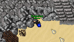 Sapeus on screen