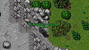Flame Dragom on screen