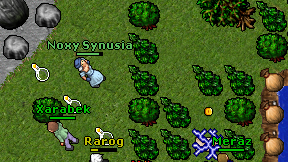 Noxy Synusia on screen