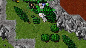 Arok paladin on screen
