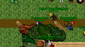 Perpetua on screen