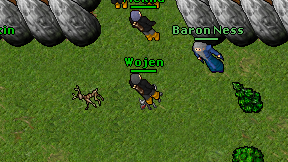 Wojen on screen