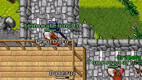 Temil Daru on screen