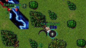 Grzybeqq on screen