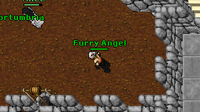 Furry Angel on screen