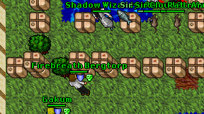 Shadow Wizardy on screen