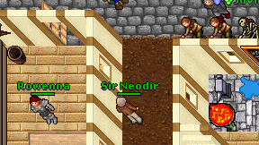 Sir Neodir on screen