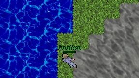 Coalixo on screen