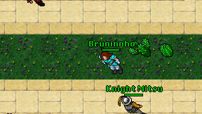 Bruninnho on screen